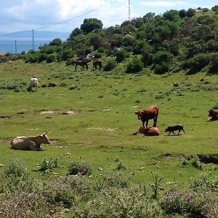 Natural Dream Blue Wifi Appartement Tarifa